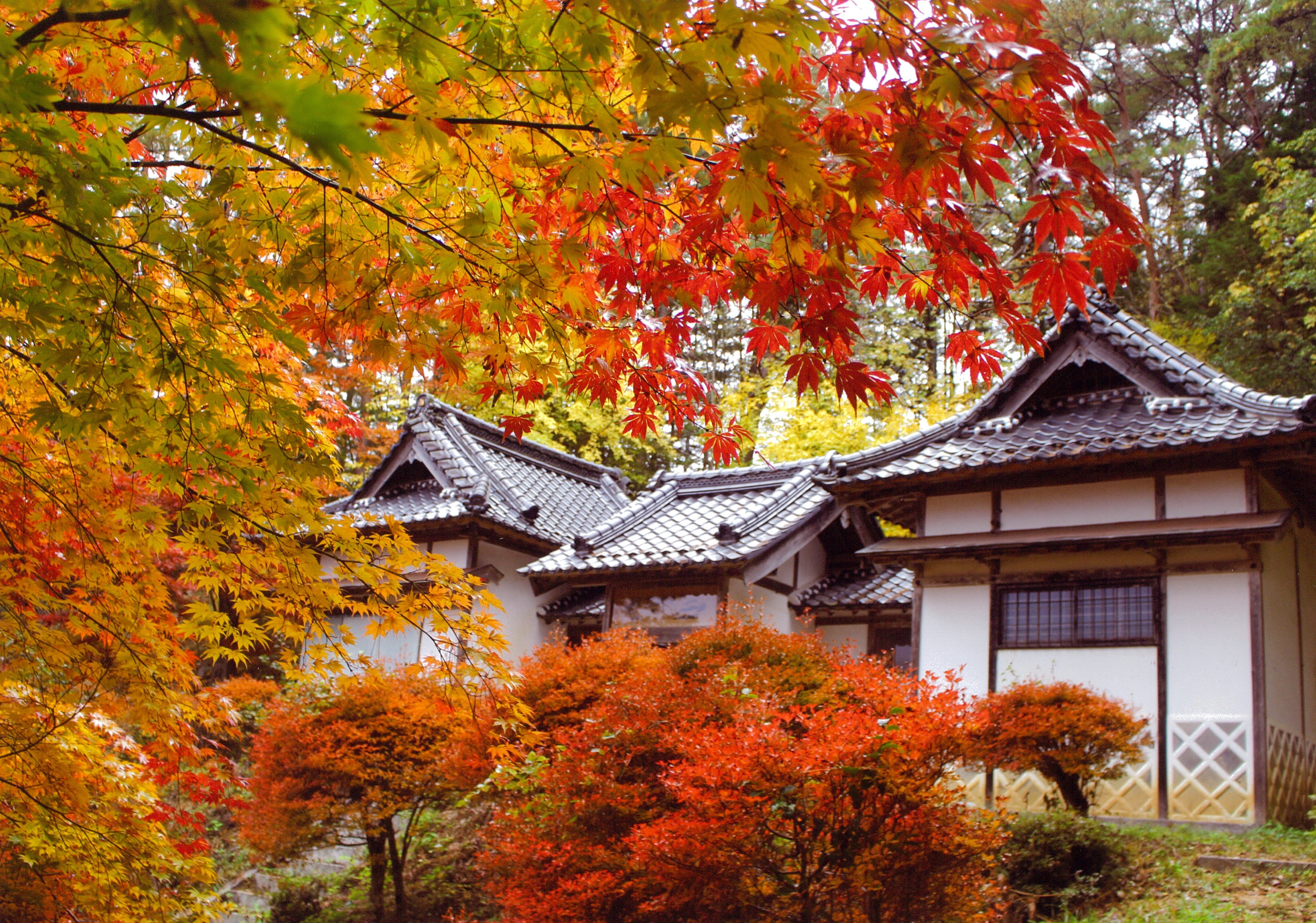 学校美術館