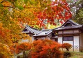 学校美術館