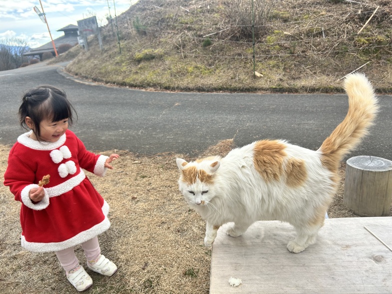 香織_岩崎_IMG_0315.jpeg
