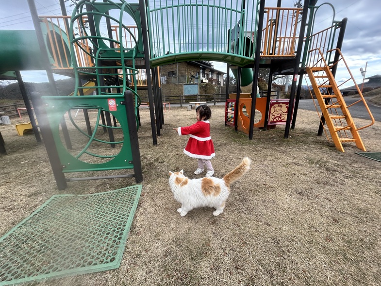 香織_岩崎_IMG_0321.jpeg