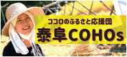 泰阜COHOs