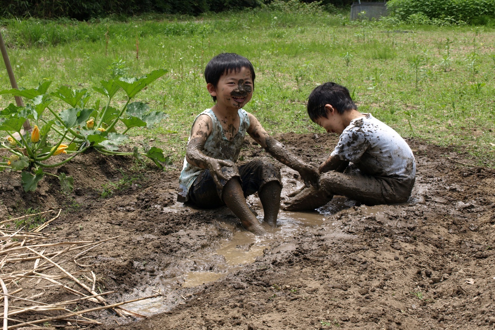 初夏　泥遊び　お手伝いのはずが…