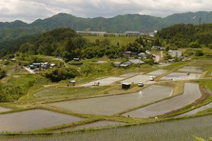 泰阜村の風景・田園