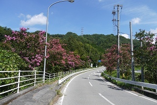 泰阜村村内の様子・道路